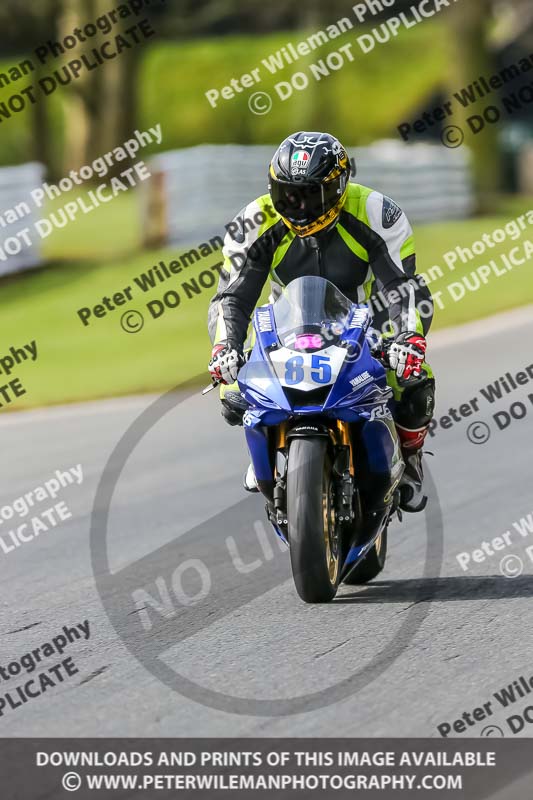 Oulton Park 21st March 2020;PJ Motorsport Photography 2020;anglesey;brands hatch;cadwell park;croft;donington park;enduro digital images;event digital images;eventdigitalimages;mallory;no limits;oulton park;peter wileman photography;racing digital images;silverstone;snetterton;trackday digital images;trackday photos;vmcc banbury run;welsh 2 day enduro